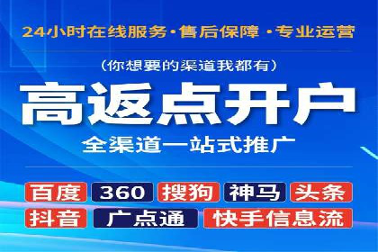 SEM广告投放的技巧与策略——成功案例分享